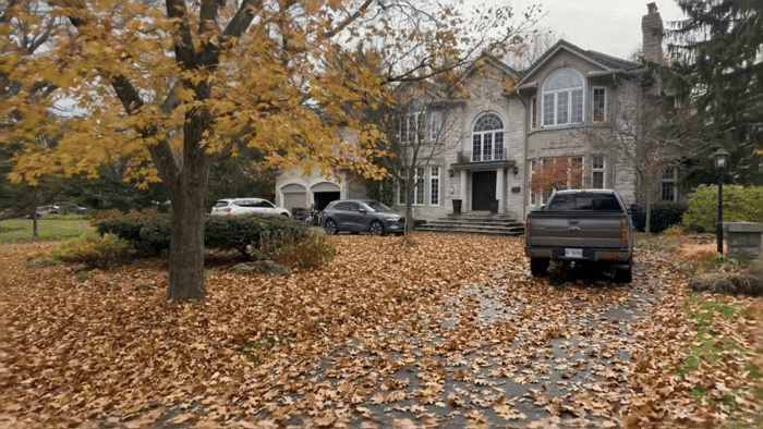 Placeholder for Seasonal Clean-Up animation