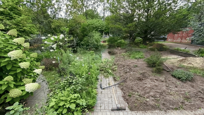 Placeholder for Lawn Restoration animation